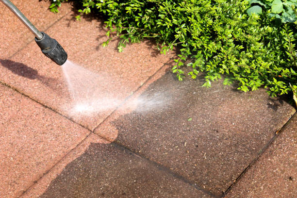 Best Roof Pressure Washing  in Saco, ME